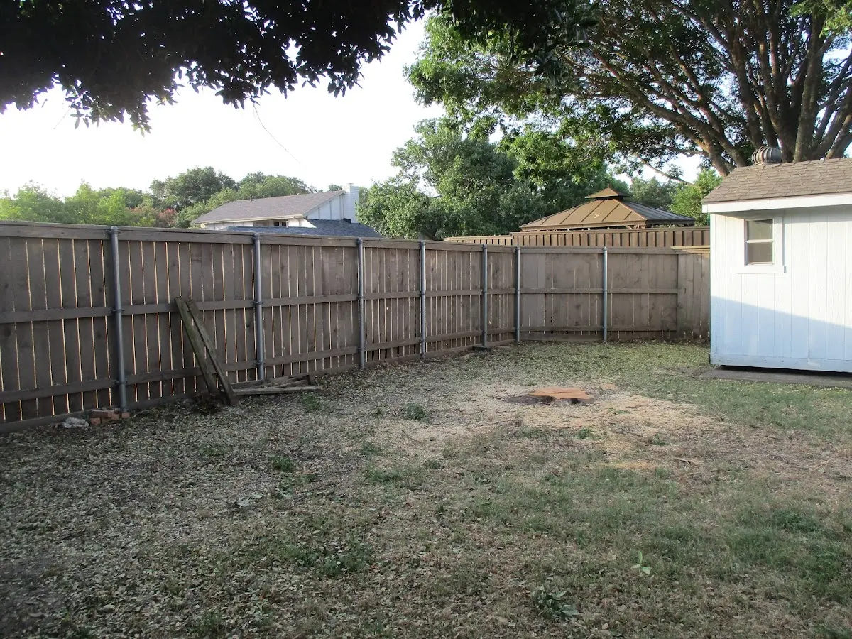 Cleared yard after professional tree removal in Ontonagon
