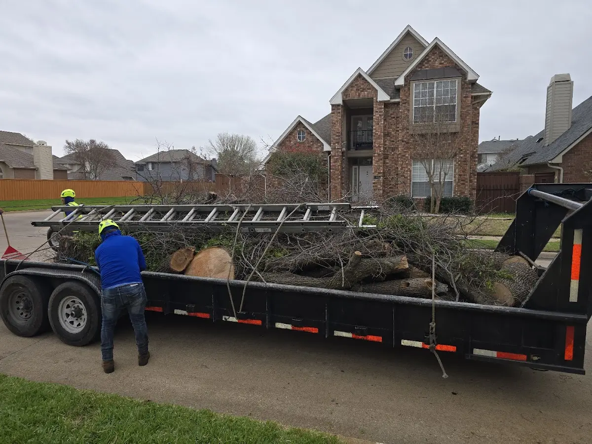 Expert Tree Removal with proper safety equipment in Ontonagon
